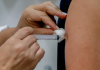 O Ministério da Saúde anunciou nesta quinta-feira (25) que mais 625 municípios receberão a vacina contra a dengue. (Foto: Agência Brasil)