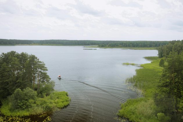 Pantanal teve queda de mais de 60% na superfície de água em 2023. (Foto: Pexels)