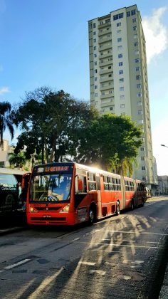 Inverno começa hoje (20) e deve ser bem quente e com pouca chuva. (Foto: Pexels)