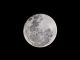 Nesta sexta-feira (21), será possível ver um fenômeno lunar raríssimo que acontece a cada quase duas décadas: "a grande paralisação lunar". (Foto: Pexels)
