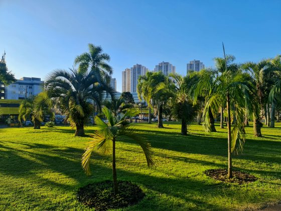 Inverno começa hoje (20) e deve ser bem quente e com pouca chuva. (Foto: Pexels)