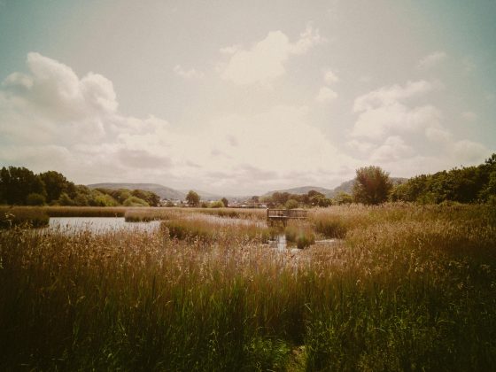 E também os corpos hídricos antrópicos – água armazenada em reservatórios, hidrelétricas e mineração, que compõem os outros 23%. (Foto: Pexels)