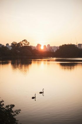 Outono termina quente e seco. (Foto: Pexels)