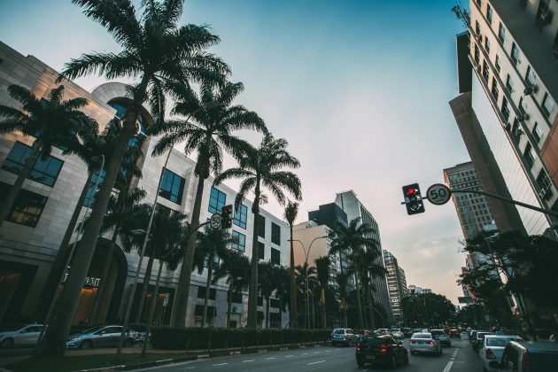 Eles pontuam que curtos períodos de frio devem acontecer, inclusive com maior variabilidade térmica do que o observado no ano passado. (Foto: Pexels)