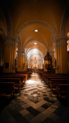 João foge à regra, porque ele, a exemplo de Maria, foi purificado do pecado antes mesmo de nascer. (Foto: Pexels)