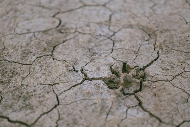 Com isso, o ano de 2023 foi de recordes de calor e com chuva abaixo da média, reflexo do El Niño e do aquecimento dos oceanos. (Foto: Pexels)