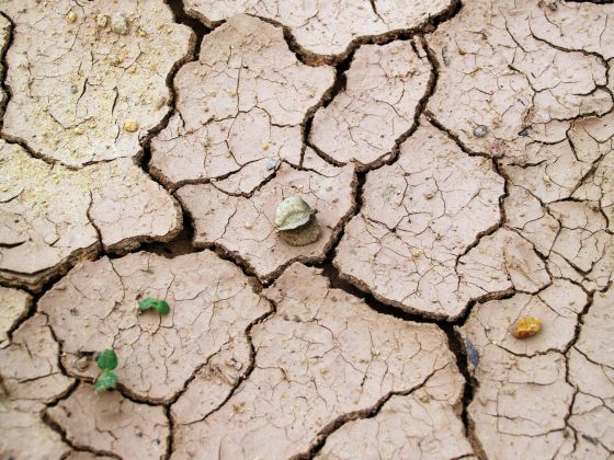 Com isso, a seca se alastrou. (Foto: Pexels)