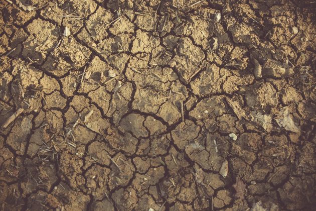 A falta de chuva alastra o fogo pelo país, que teve o maior número de incêndios dos últimos dez anos. (Foto: Pexels)