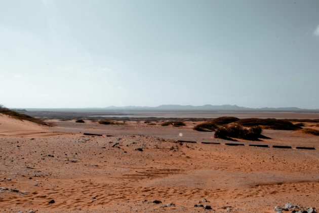 De acordo com os dados do Centro de Monitoramento e Alertas de Desastres Naturais (Cemaden), ligado ao governo federal e que monitora a estiagem pelo país. (Foto: Pexels)