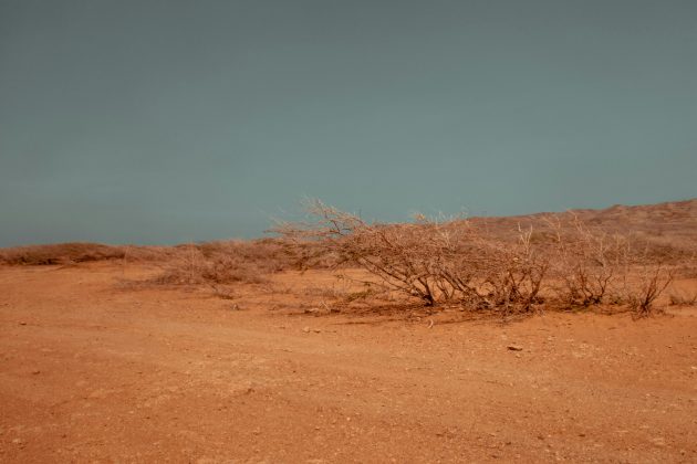 O fenômeno já acabou, mas seus efeitos continuam: os primeiros seis meses do ano foram de recorde de calor e a chuva ficou abaixo da média na maior parte do país, com exceção do Sul. (Foto: Pexels)