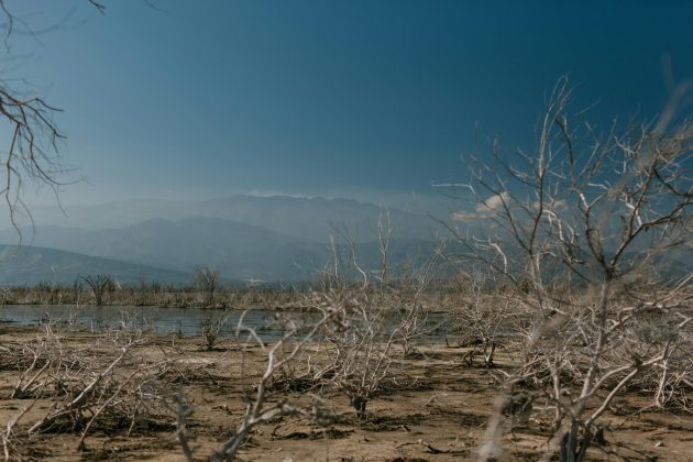 1.024 cidades estão sob a classificação de seca entre extrema e severa (a mais alta da escala). (Foto: Pexels)