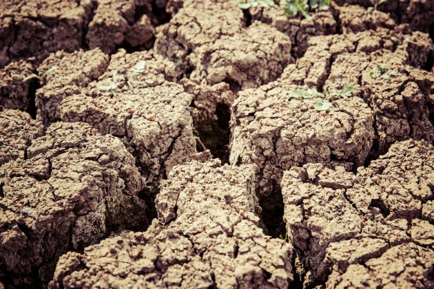 O ar está tão seco que mais da metade das cidades brasileiras estão em alerta. (Foto: Pexels)