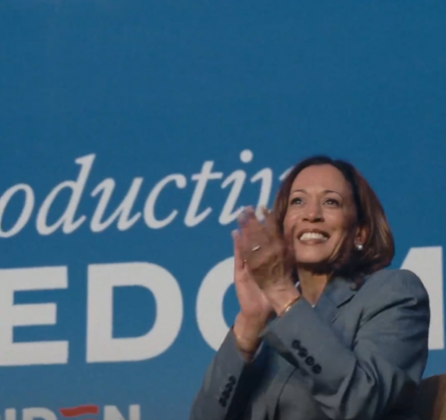 O Partido Democrata aprovou nesta sexta-feira (2) a indicação de Kamala Harris para disputar as eleições presidenciais de 5 de novembro. (Foto: X)