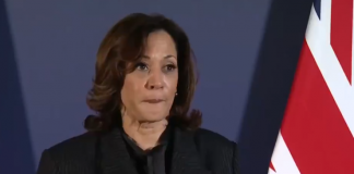 Kamala Harris deve anunciar seu escolhido para vice-presidente nesta terça-feira (6). (Foto: X)