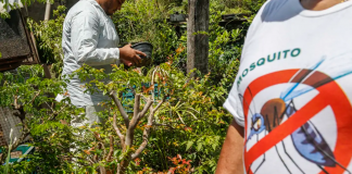 O Brasil já contabiliza 5.008 mortes por dengue em 2024. (Foto: Agência Brasil)