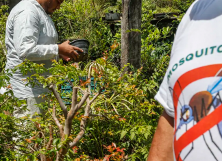 O Brasil já contabiliza 5.008 mortes por dengue em 2024. (Foto: Agência Brasil)