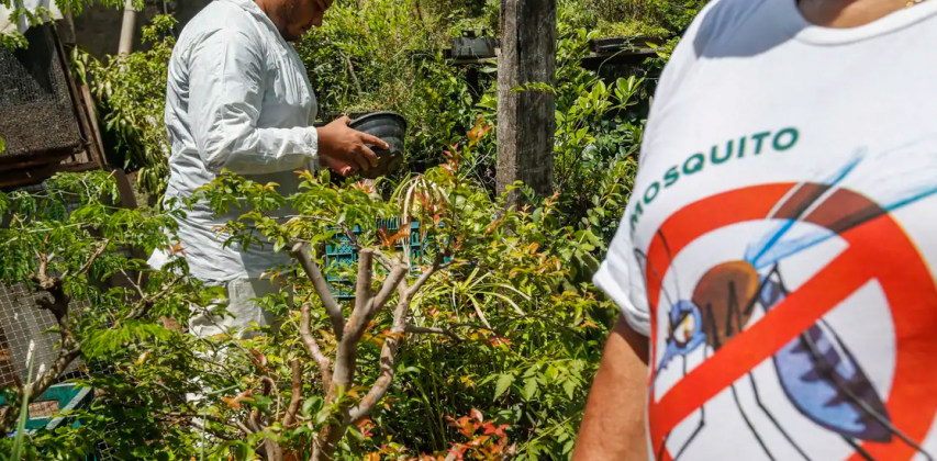 O Brasil já contabiliza 5.008 mortes por dengue em 2024. (Foto: Agência Brasil)