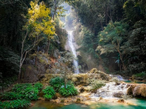 O Pantanal foi o bioma com o maior número de municípios com redução de áreas naturais nesse período. (Foto: Pexels)