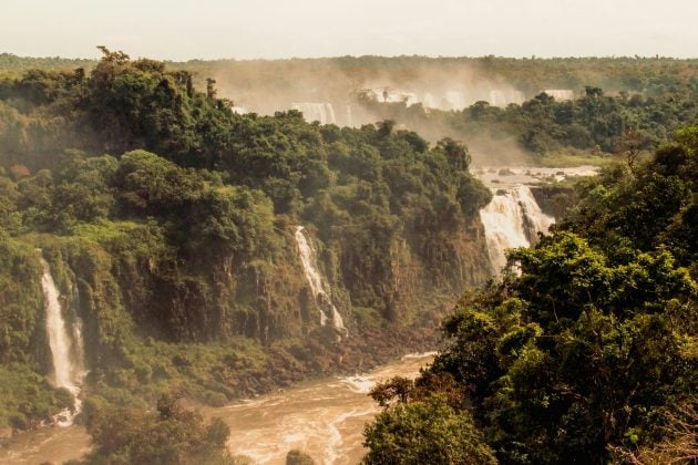 A saber, a Amazônia foi o bioma que mais perdeu áreas de vegetação nativa. (Foto: Pexels)