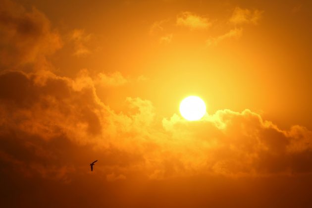 O dado considera a temperatura média do ar no planeta. (Foto: Pexels)