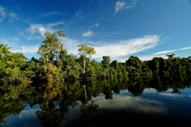 Com isso, o dado considera o número de focos de incêndio, a extensão das áreas afetadas e as emissões de carbono geradas. (Foto: Pexels)