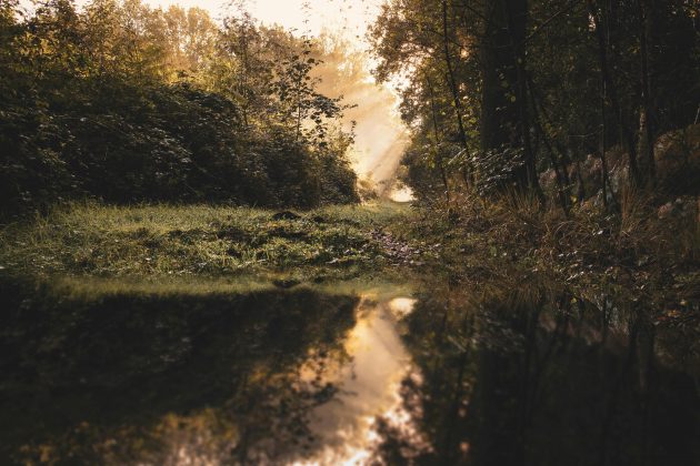 Só em setembro, foram mais de 32 megatoneladas no país vizinho ao Brasil. (Foto: Pexels)