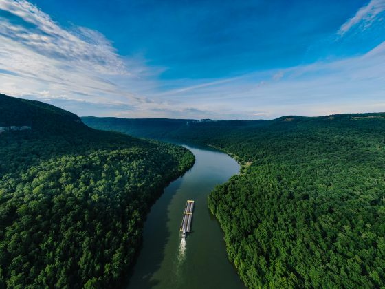 Estados como Amazonas e Mato Grosso do Sul, onde está localizado o Pantanal, registraram as maiores emissões em 22 anos de monitoramento do observatório. (Foto: Pexels)