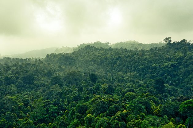 Seguindo a mesma tendência do ano recorde de 2007. Naquele ano, 65 megatoneladas foram emitidas apenas em setembro. (Foto: Pexels)