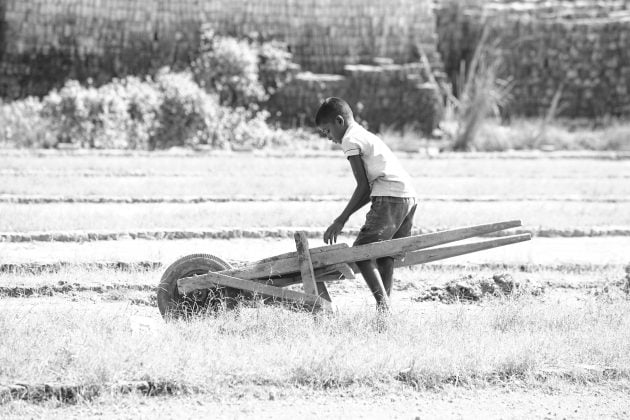 Vale lembrar que nem todas as crianças que realizam atividades econômicas ou para autoconsumo (como pesca, criação de animais, etc) se enquadram na situação de trabalho infantil. (Foto: Pexels)