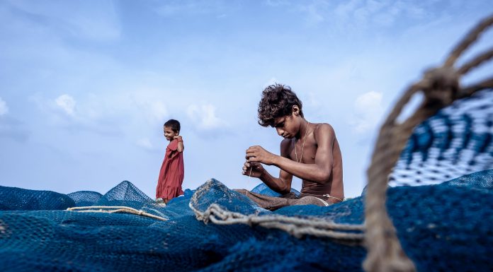 O número de jovens em situação de trabalho infantil no Brasil caiu 14,6% no último ano e atingiu o seu menor patamar desde 2016, quando o IBGE iniciou a coleta de dados sobre o assunto. (Foto: Pexels)