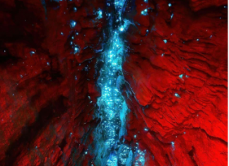 O fotógrafo Navaneeth Unnikrishnan capturou imagens deslumbrantes de bioluminescência em uma caverna, onde o teto brilha com milhares de luzes azuis, semelhante a um céu estrelado. (Foto: Instagram)