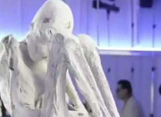 A descoberta de uma múmia tridáctila, conhecida como “Maria”, no deserto de Nazca, tem causado grande fascínio e gerado muitas perguntas. (Foto: Instagram)
