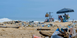 O Brasil foi colocado em um patamar a nível de alerta, após um relatório divulgado pela ONG Oceana. (Foto: Pexels)