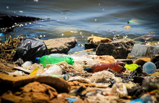 Isso porque, foi constatado que cerca de 1,3 milhão de toneladas de plástico são descartadas no oceano do nosso país anualmente. (Foto: Pexels)