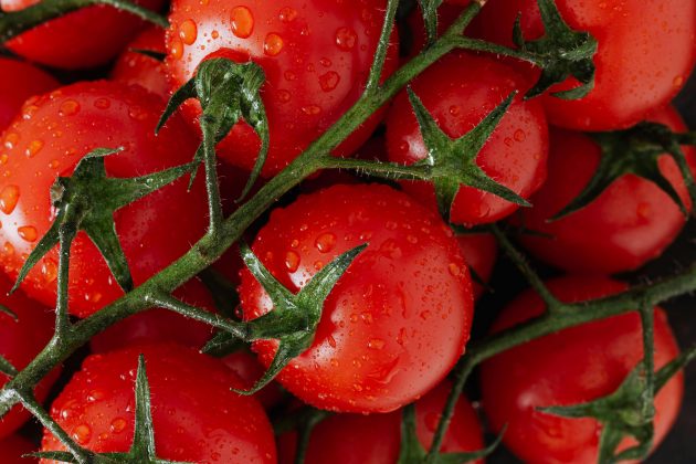 Tomate- um vegetal versátil, fresco e saboroso que infelizmente também é rico em histamina. Se procura uma alternativa para as suas saladas, pode optar pelo pepino. (Foto: Pexels)