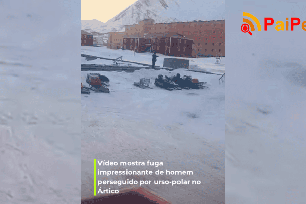 Vídeo mostra fuga impressionante de homem perseguido por urso-polar no Ártico