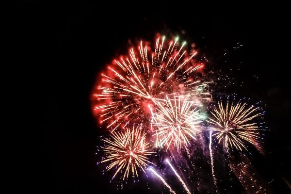 Fogos de artifício durante jogos ameaçam fauna urbana