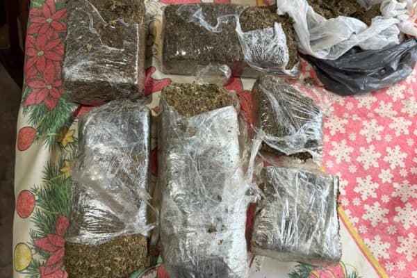 Polícia Federal prende avó que usava neto de 13 anos no tráfico em MG