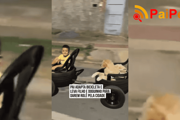 Pai adapta bicicleta e leva filho e doguinho para darem rolê pela cidade