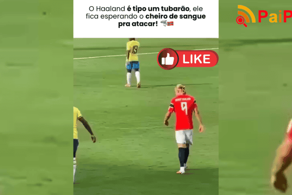 O Haaland é tipo um tubarão, ele fica esperando o cheiro de sangue pra atacar!