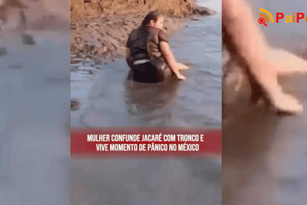 Mulher confunde jacaré com tronco e vive momento de pânico no México