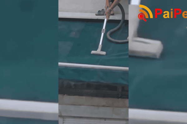 Cena de tirar o fôlego: idosas desafiam o perigo ao limpar parte externa de apartamento