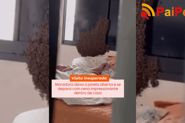 Moradora deixa a janela aberta e se depara com cena impressionante dentro de casa