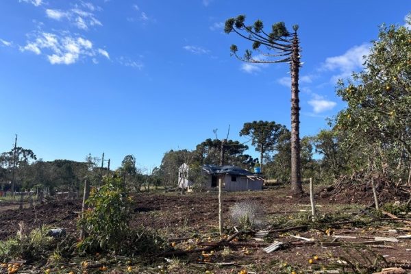 Tornado com ventos de 200 km/h atinge cidade no Paraná e causa destruição