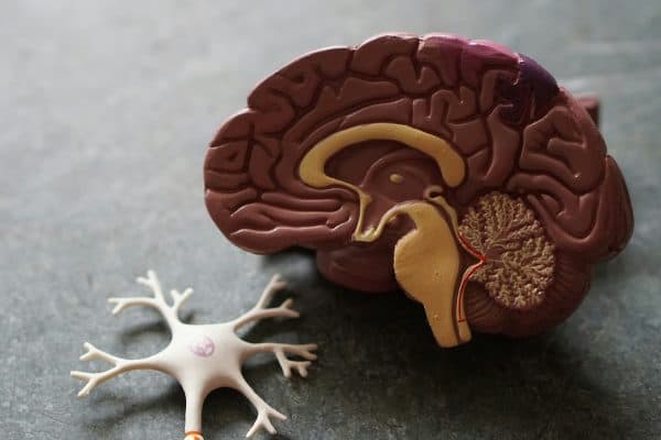 Até 45% dos casos de demência podem ser prevenidos com ações conjuntas, aponta pesquisa