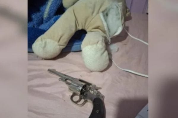 Mulher é detida em SC após arma ser achada em urso de pelúcia