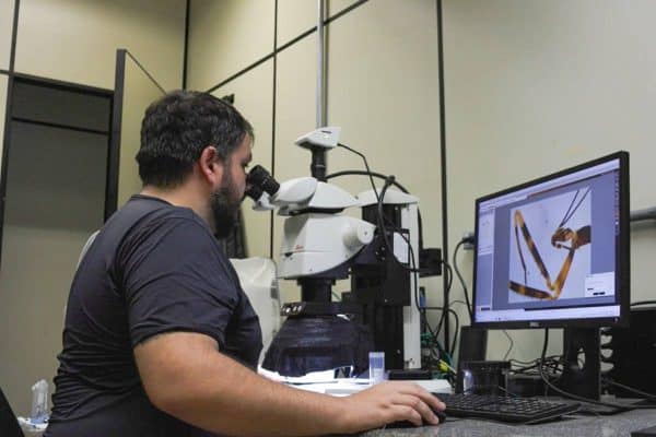 Pesquisador da Unesp resolve mistério de inseto barbeiro na Europa