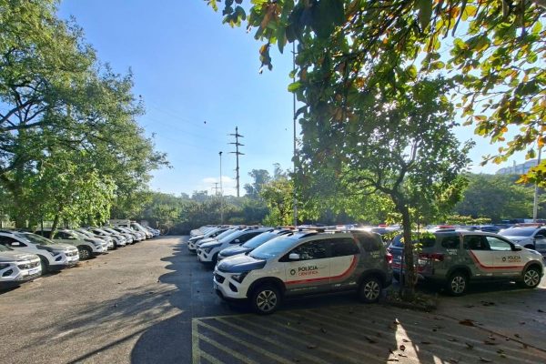Viaturas da Polícia de SP com logo do governo federal estão paradas há mais de um mês