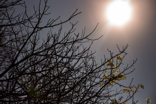Risco de Super El Niño Aumenta e Alerta é Emitido no Brasil