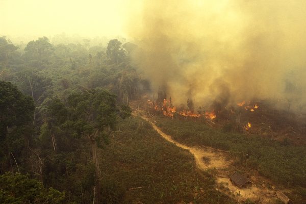 IA prevê queimadas na Amazônia com 14 dias de antecedência